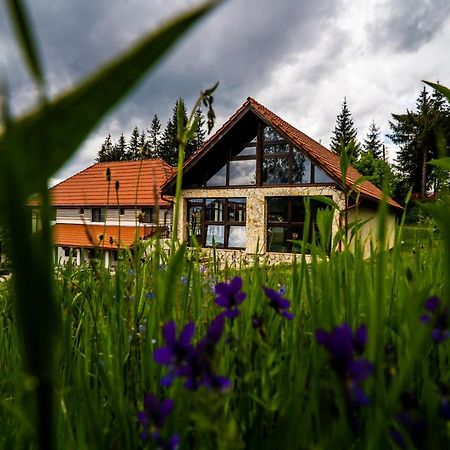 Pensiunea Romconcord Balcesti Экстерьер фото